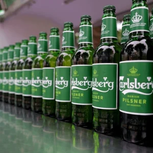 Carlsberg Danish Pilsner Lager Beer For Sale